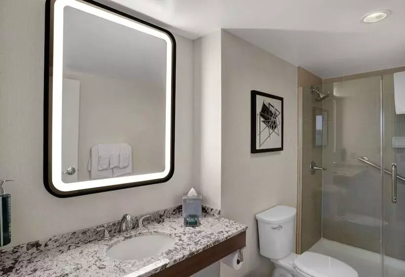 سوییت جونیور, Hilton Arlington National Landing