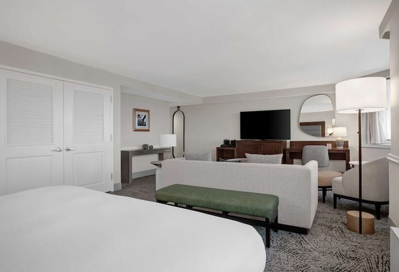 Полулюкс, Hilton Arlington National Landing