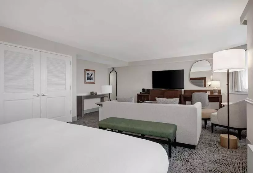 سوییت جونیور, Hilton Arlington National Landing