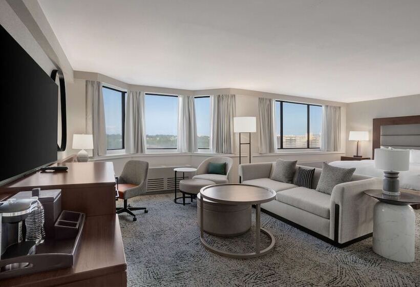 小型套房, Hilton Arlington National Landing