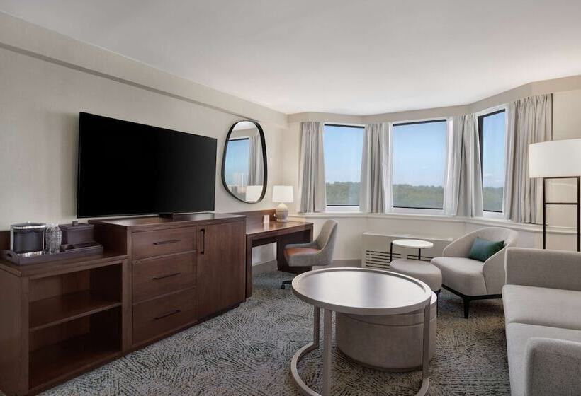 小型套房, Hilton Arlington National Landing