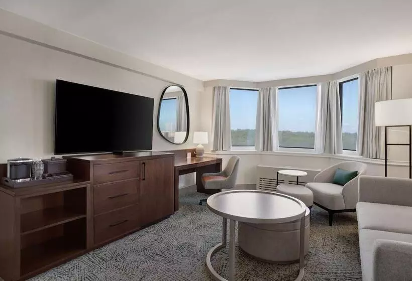 سوییت جونیور, Hilton Arlington National Landing