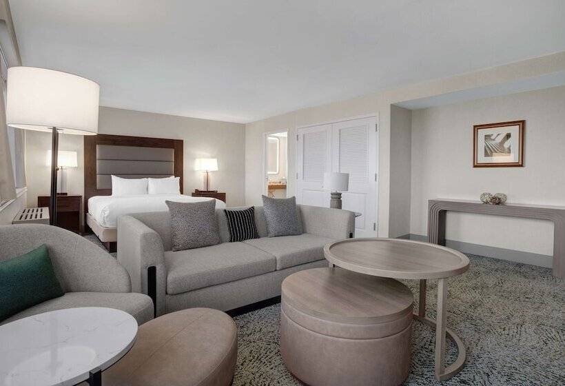 小型套房, Hilton Arlington National Landing