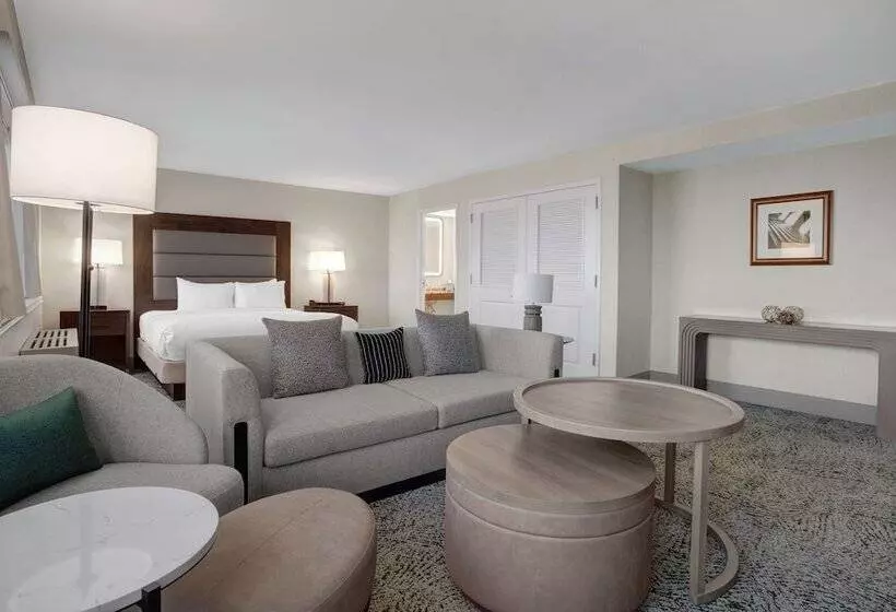 سوییت جونیور, Hilton Arlington National Landing