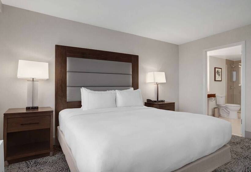 小型套房, Hilton Arlington National Landing