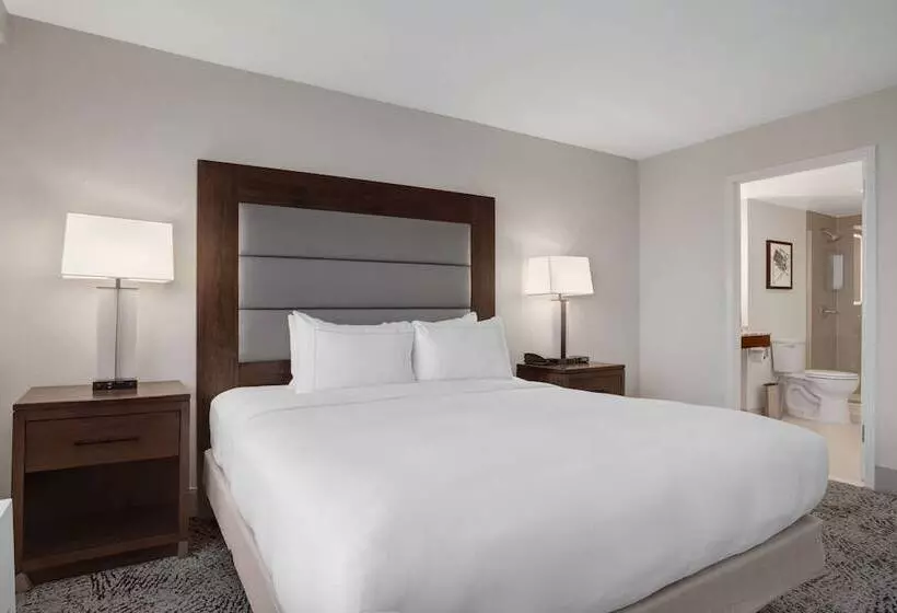سوییت جونیور, Hilton Arlington National Landing