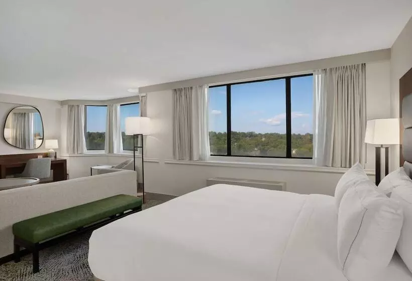 سوییت جونیور, Hilton Arlington National Landing