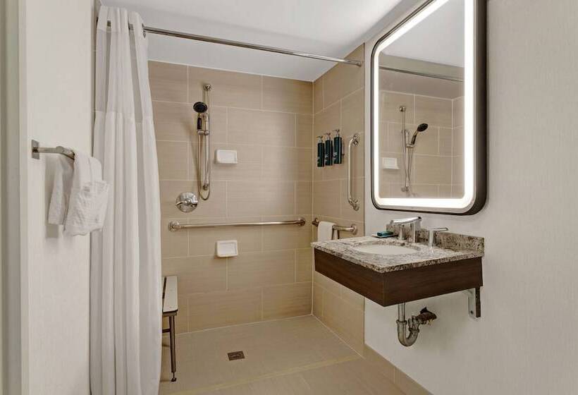 适合残疾人使用的标准间, Hilton Arlington National Landing