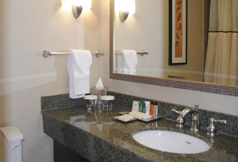 适合残疾人使用的标准间, Hilton Arlington National Landing