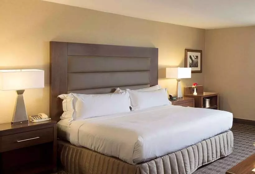 اتاق استاندارد برای معلولان, Hilton Arlington National Landing