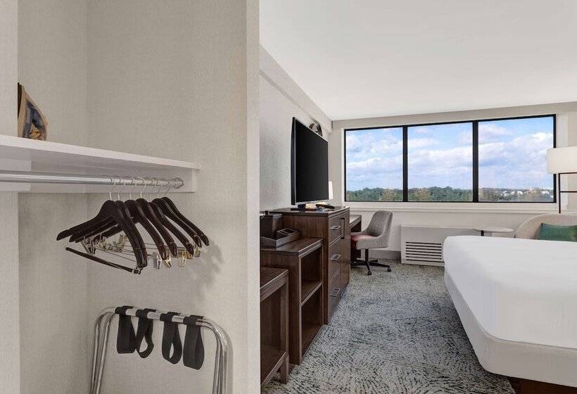 适合残疾人使用的标准间, Hilton Arlington National Landing