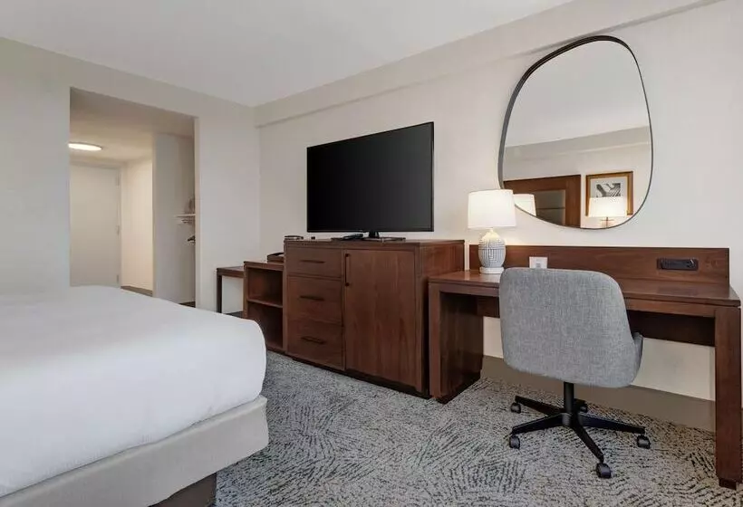 اتاق استاندارد برای معلولان, Hilton Arlington National Landing