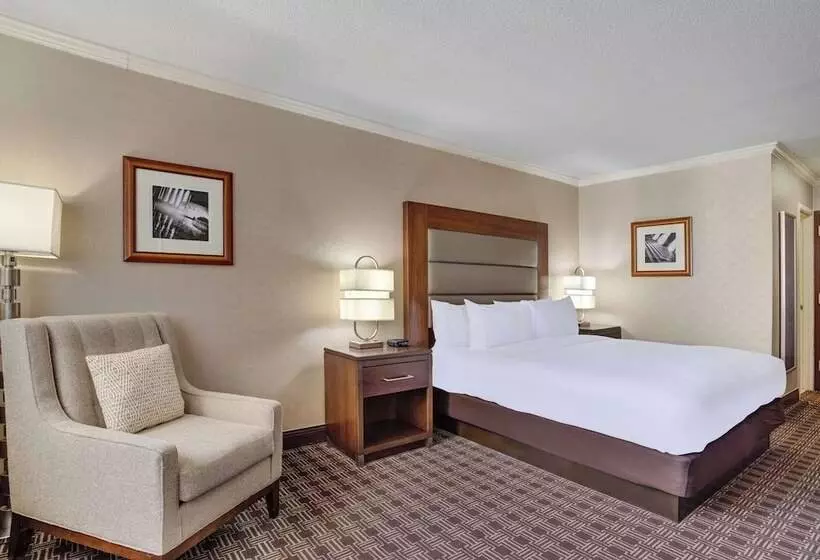 اتاق استاندارد برای معلولان, Hilton Arlington National Landing