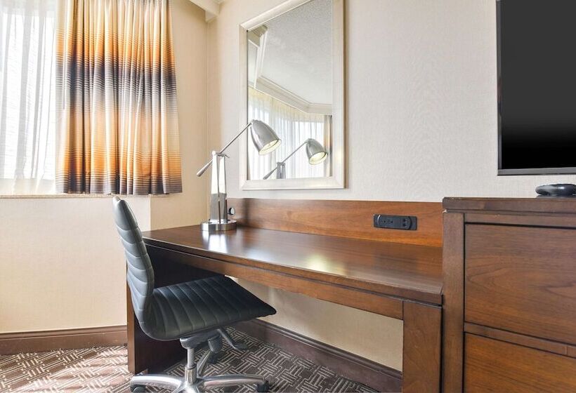 适合残疾人使用的标准间, Hilton Arlington National Landing