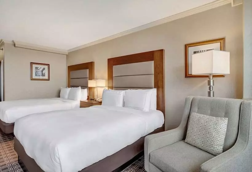 اتاق استاندارد, Hilton Arlington National Landing