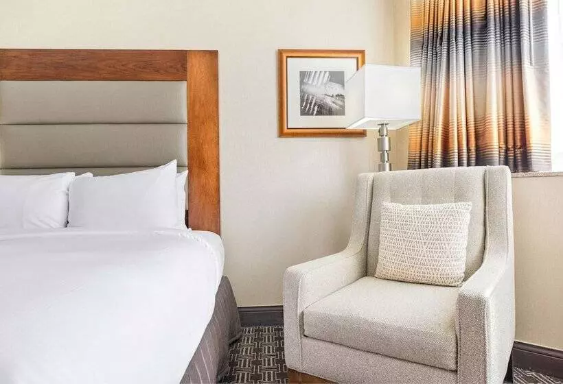 اتاق استاندارد, Hilton Arlington National Landing
