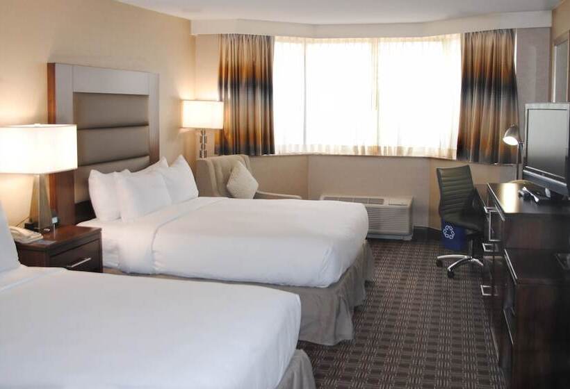 Номер Стандарт, Hilton Arlington National Landing