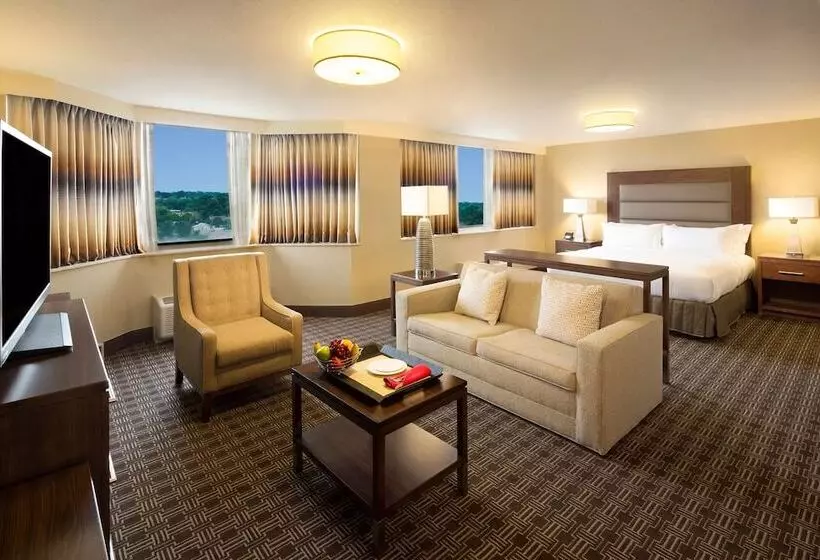 سوییت جونیور, Hilton Arlington National Landing