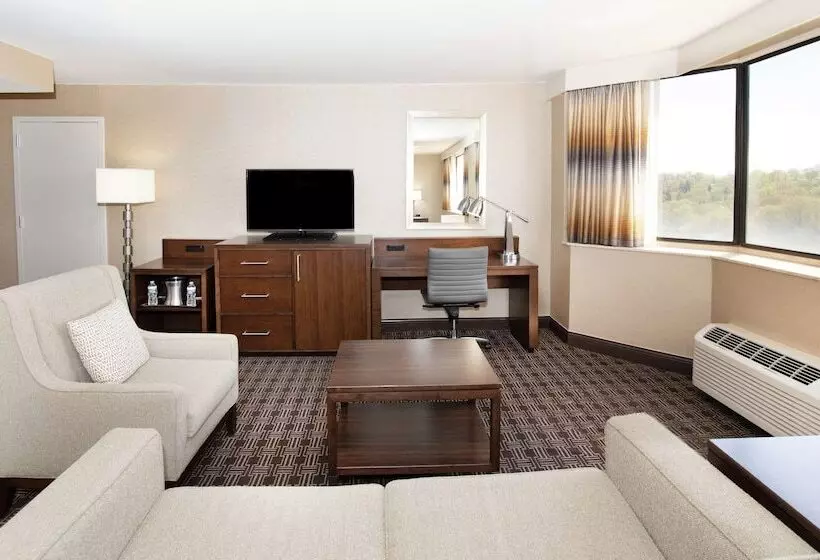 سوییت جونیور, Hilton Arlington National Landing