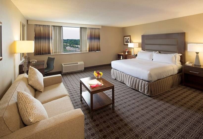 小型套房, Hilton Arlington National Landing