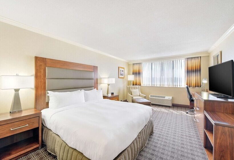 适合残疾人使用的标准间, Hilton Arlington National Landing