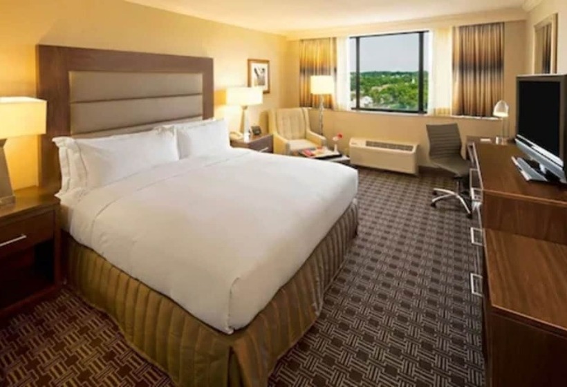 适合残疾人使用的标准间, Hilton Arlington National Landing