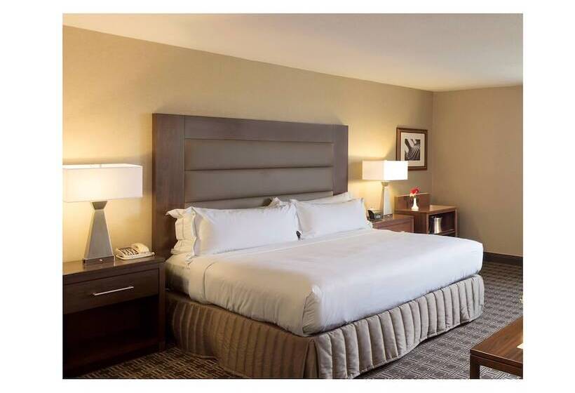 适合残疾人使用的标准间, Hilton Arlington National Landing