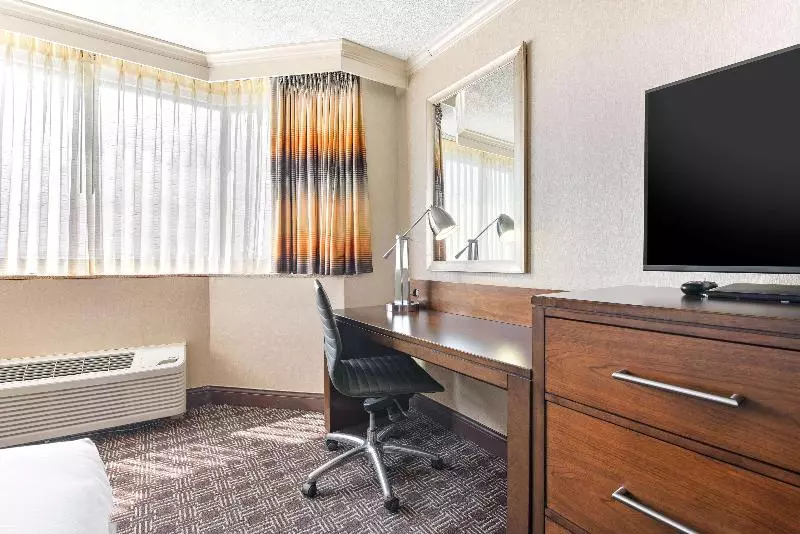 سوئیت جونیور با تخت بزرگ, Hilton Arlington National Landing