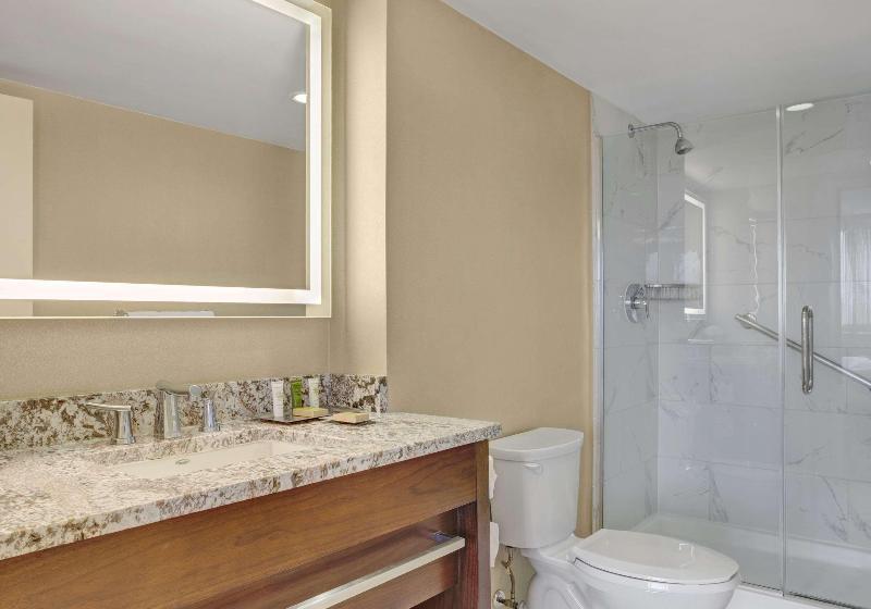 带大床的小型套房, Hilton Arlington National Landing