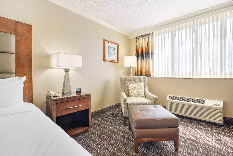 سوئیت جونیور با تخت بزرگ, Hilton Arlington National Landing