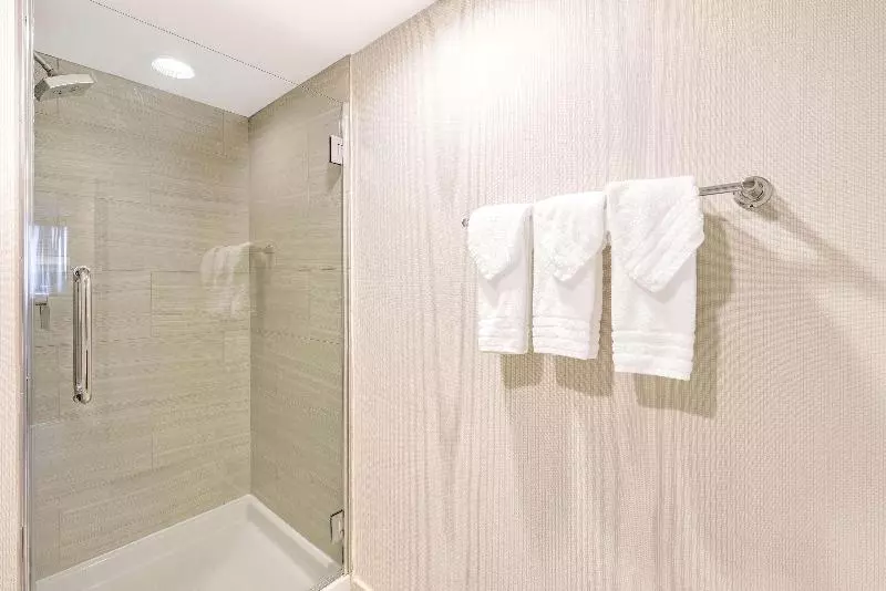 سوئیت جونیور با تخت بزرگ, Hilton Arlington National Landing