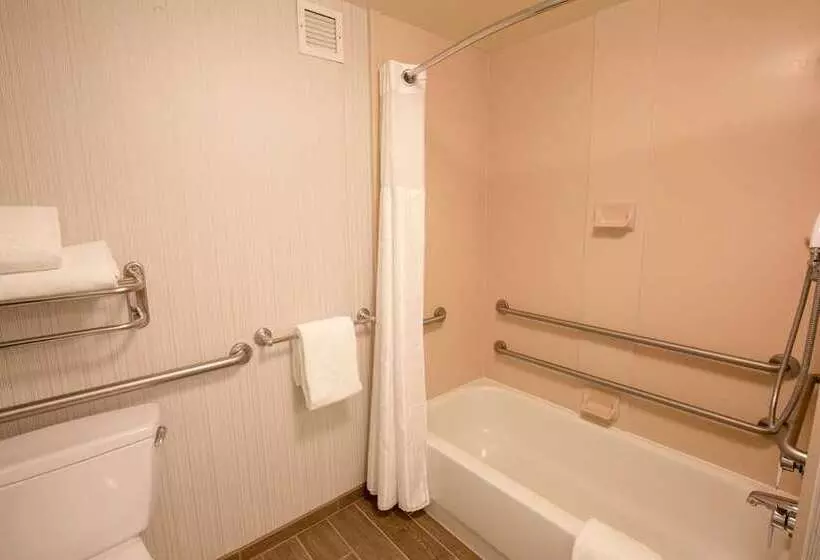 اتاق استاندارد با تخت بزرگ, Hilton Arlington National Landing