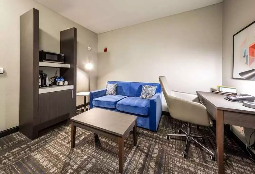 اتاق استاندارد با تخت بزرگ, Hilton Arlington National Landing