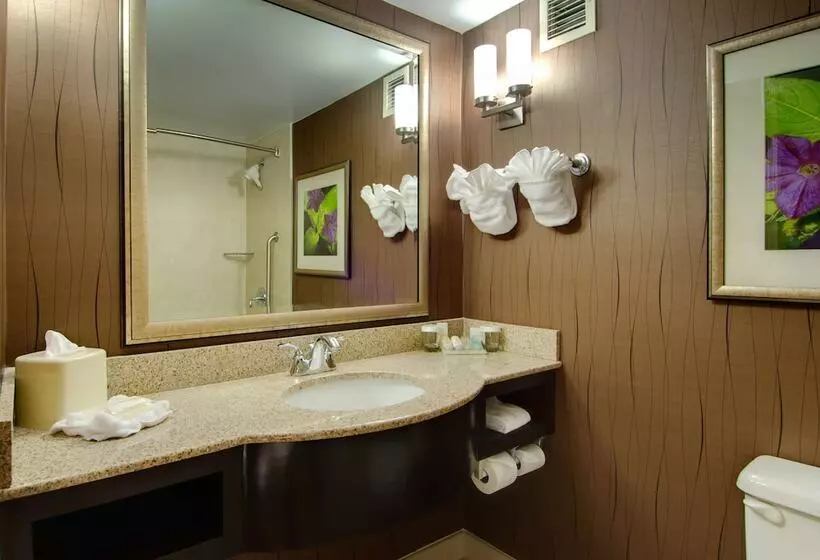 اتاق استاندارد با 2 تخت دوبل, Hilton Garden Inn Raleigh Durham Airport