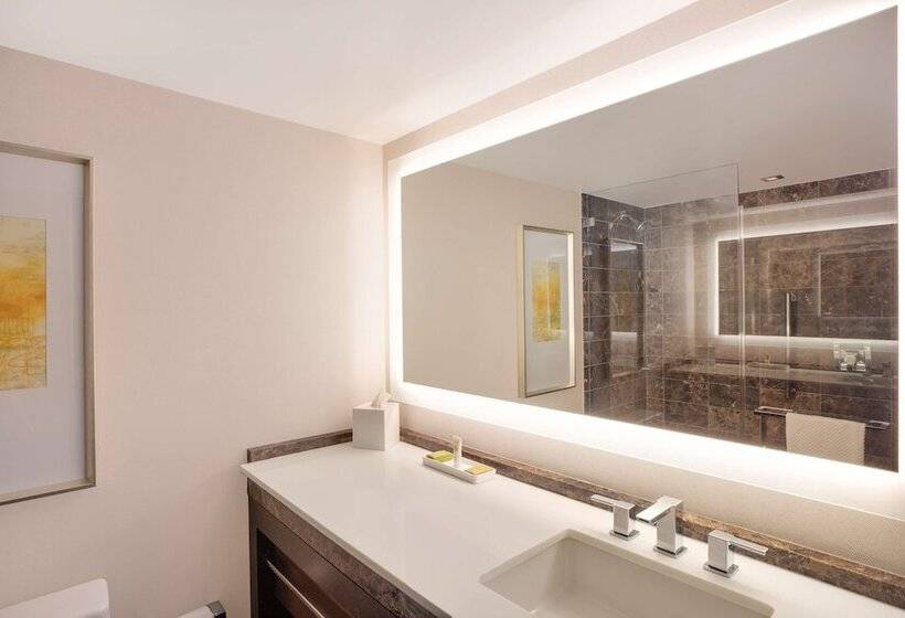 스탠다드 룸 더블 침대 2개, Hilton Mclean Tysons Corner