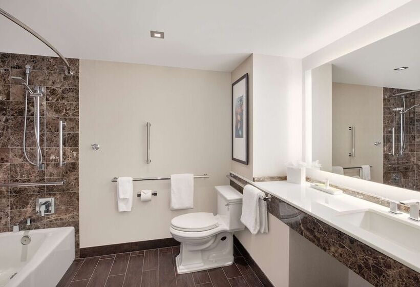 장애인을 위한 스탠다드 룸, Hilton Mclean Tysons Corner