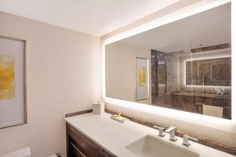 장애인을 위한 스탠다드 룸, Hilton Mclean Tysons Corner