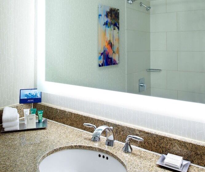 Номер Стандарт 2 Двуспальные Кровати, Hilton Minneapolisst. Paul Airport