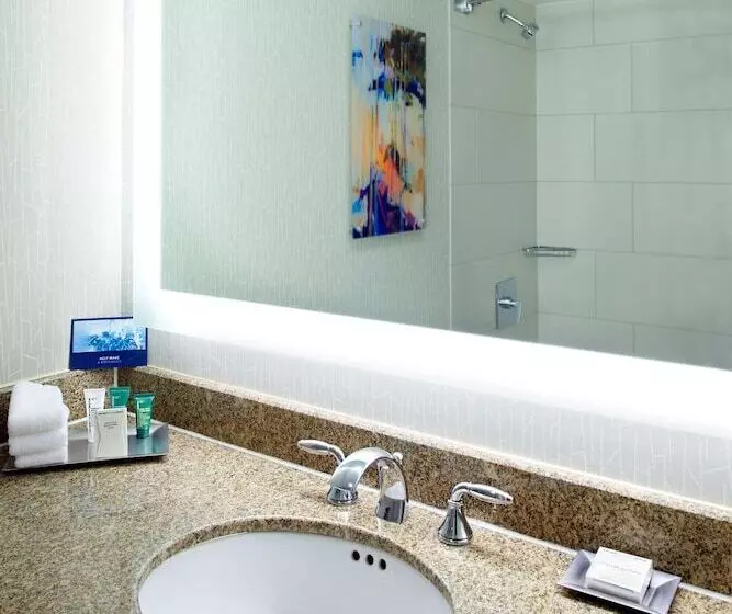سوییت جونیور, Hilton Minneapolisst. Paul Airport