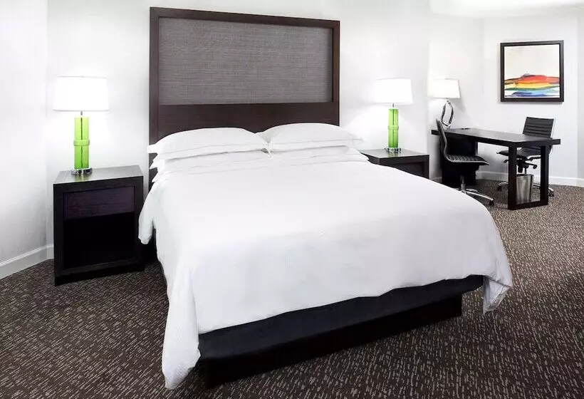 سوییت جونیور, Hilton Minneapolisst. Paul Airport