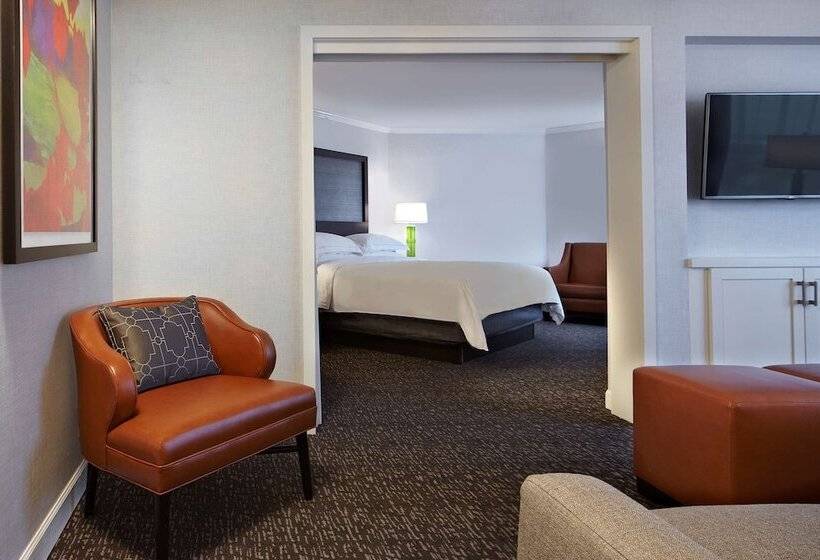 小型套房, Hilton Minneapolisst. Paul Airport