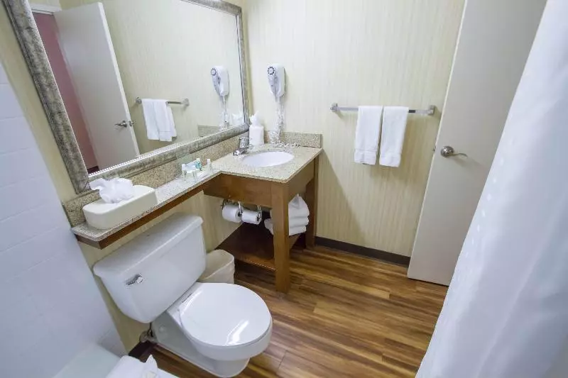 اتاق استاندارد با تخت بزرگ, Holiday Inn Bloomington Airport South Mall Area By Ihg