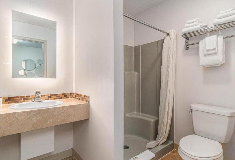 带大床的豪华间, Howard Johnson By Wyndham Traverse City