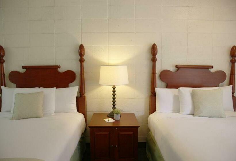 キングサイズベッドのスタンダードルーム, Waikiki Heritage