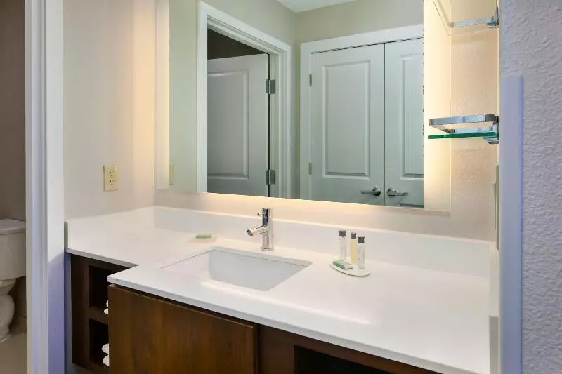 سوئیت با تخت بزرگ, Residence Inn By Marriott Ann Arbor North