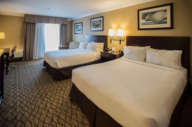 اتاق استاندارد, The Volare, Ascend Hotel Collection