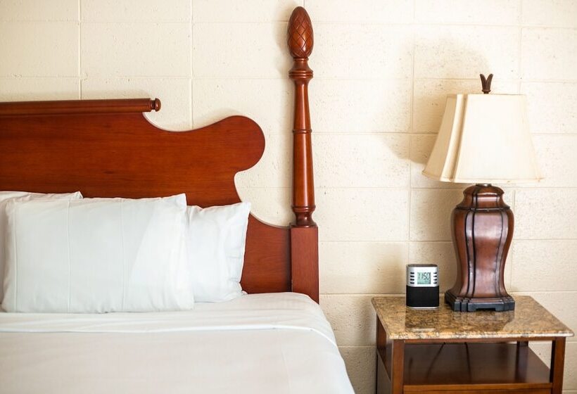 キングサイズベッドのデラックスルーム, Waikiki Heritage