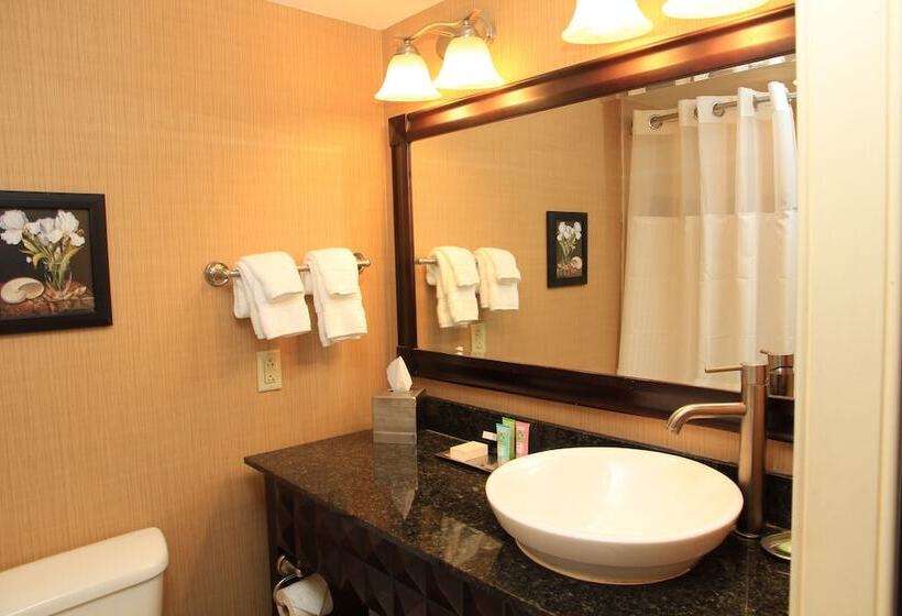 스탠다드 룸 더블 침대, Wyndham Grand Pittsburgh