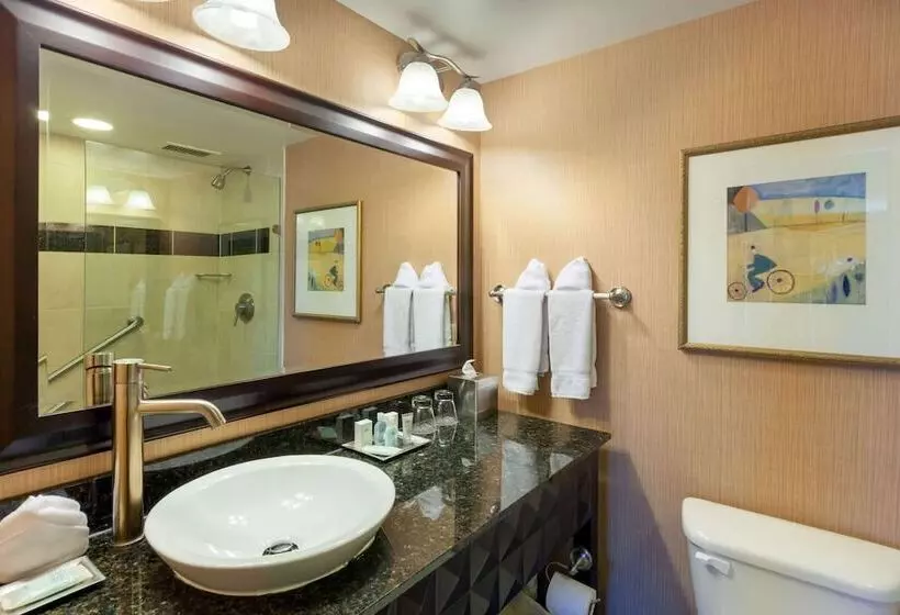 اتاق استاندارد با تخت دوبل, Wyndham Grand Pittsburgh