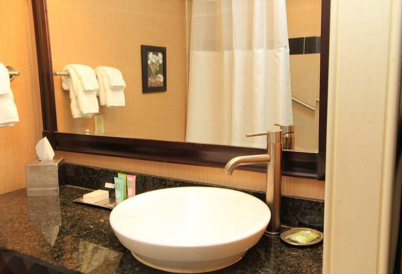 디럭스 룸, Wyndham Grand Pittsburgh